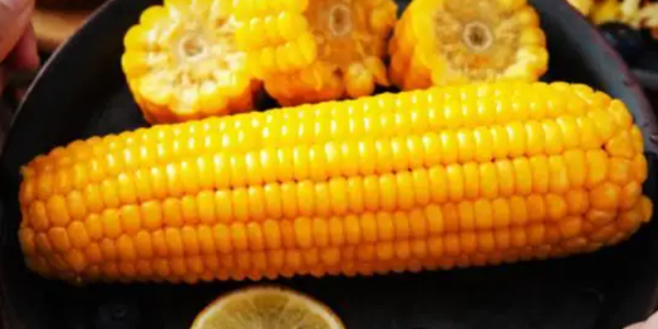 全球飼糧市場(chǎng)：美國(guó)玉米收獲展開(kāi)，飼糧價(jià)格有漲有跌