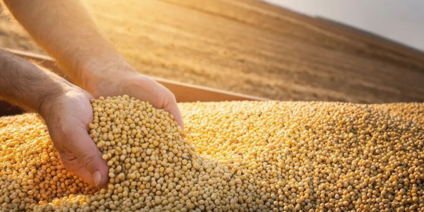 微信截圖_20230116101236