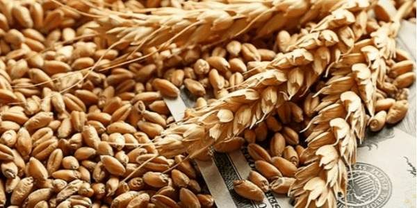 微信截圖_20230413090058