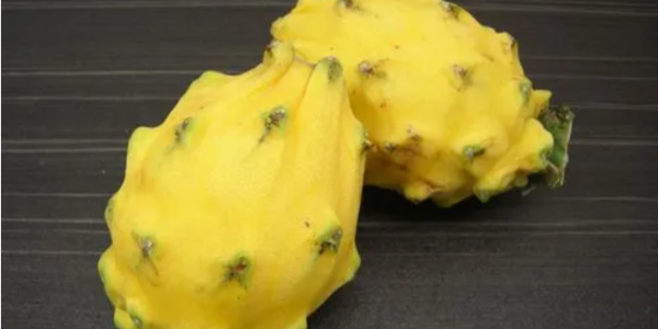 微信截圖_20230413083137