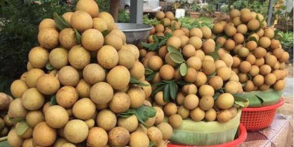 微信截圖_20230413083639