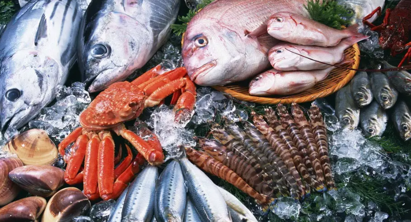 智利水產(chǎn)品國(guó)外熱銷 出口額占食品出口總額超三成