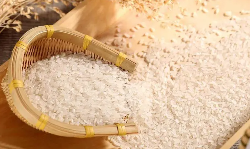 菲律賓和我國仍是越南出口大米的主要市場