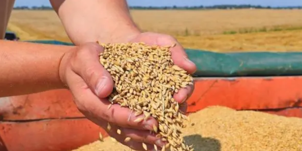 微信截圖_20230302091721