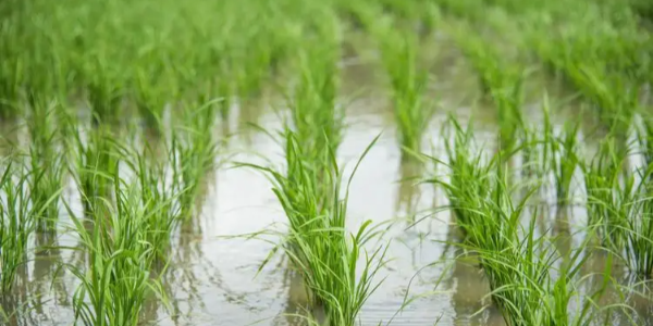 微信截圖_20221216090936