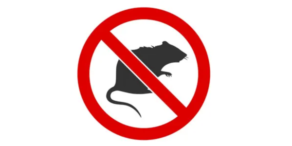 微信截圖_20221216093237