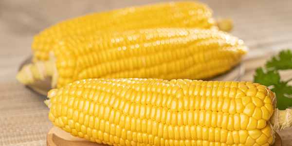 微信截圖_20221230105048