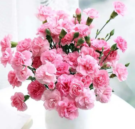 海關(guān)商品歸類