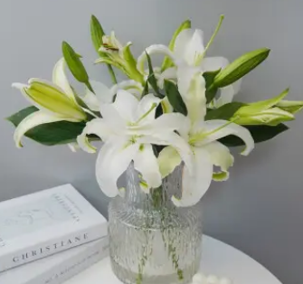 海關(guān)商品歸類