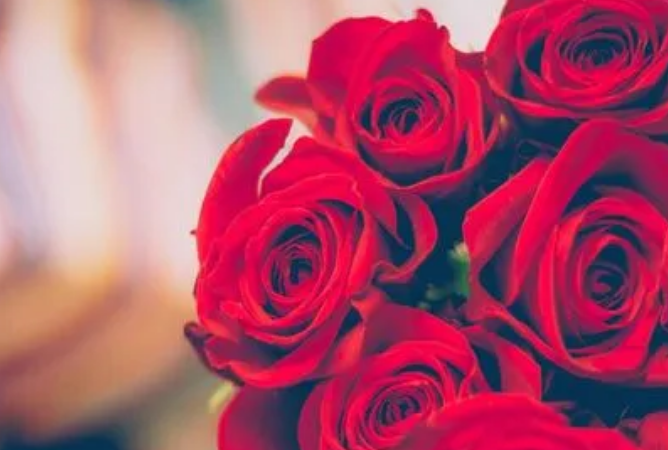 海關(guān)商品歸類