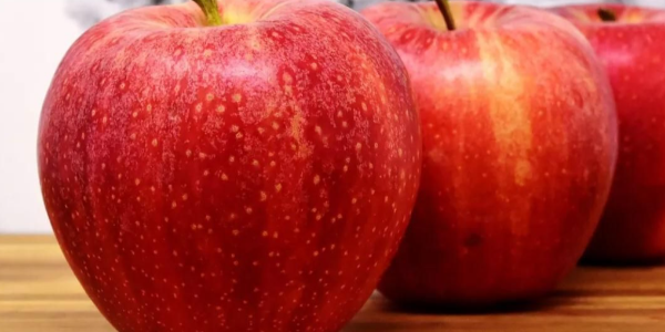 今夏中國向俄阿穆爾州出口約13000噸蔬菜水果