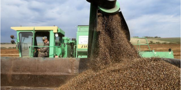 微信截圖_20230315092723