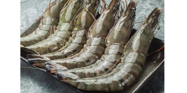 微信截圖_20230315084706