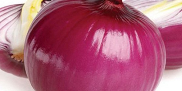 菲律賓將為洋蔥種植者建造更多冷藏設施