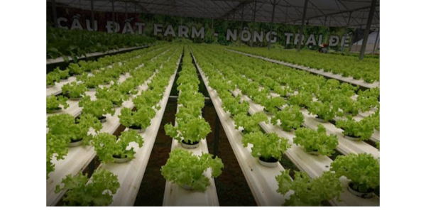 微信截圖_20230301092151