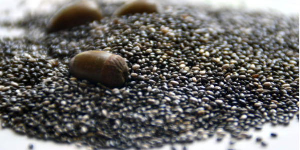 俄羅斯農(nóng)業(yè)銀行：俄羅斯從中國(guó)的種子、氨基酸、維生素進(jìn)口將增長(zhǎng)