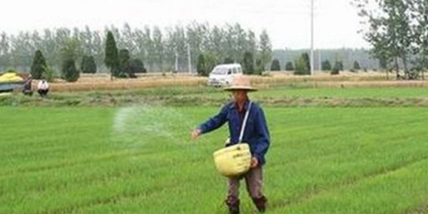 秘魯總統(tǒng)：支持俄羅斯化肥出口正常化