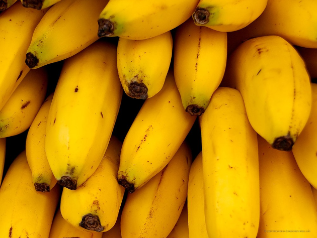 香蕉正貿(mào)進(jìn)口增長(zhǎng)，菲律賓在華市場(chǎng)份額不保