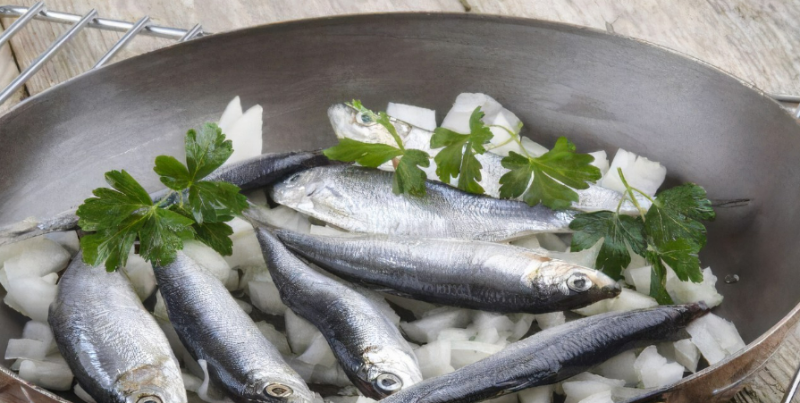 俄駐華商務(wù)代表：俄對華魚類和海產(chǎn)品出口已重返新冠疫情前水平