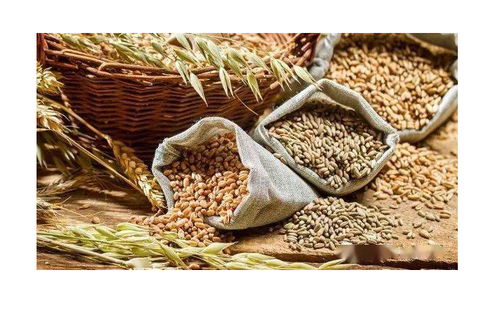 微信截圖_20230203095943