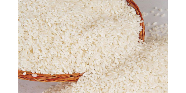 微信截圖_20230203103033