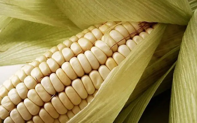 微信截圖_20230203094742