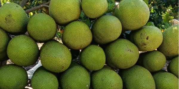 微信截圖_20230414090526