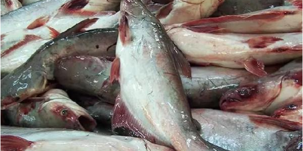 微信截圖_20230208100519