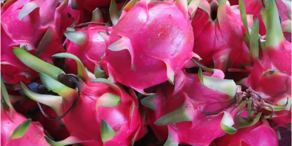 微信截圖_20230222094820