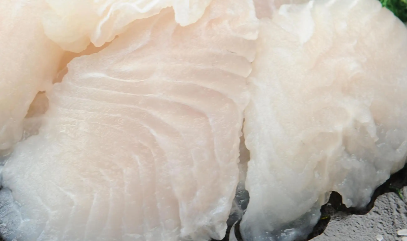 今年上半年烏拉圭魚類出口達到七年來的最高水平