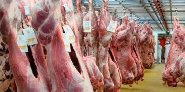 微信截圖_20230317093439