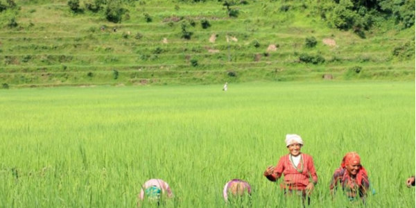 微信截圖_20230331092608