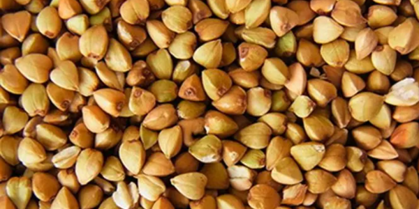 微信截圖_20230106101120