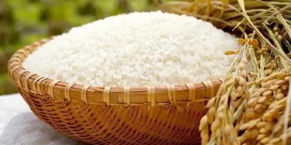 微信截圖_20230206094219