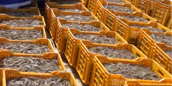 微信截圖_20230206100930