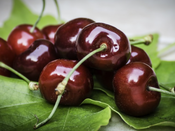 荷蘭合作銀行：智利對華車?yán)遄映隹诹繉⒊掷m(xù)打破紀(jì)錄