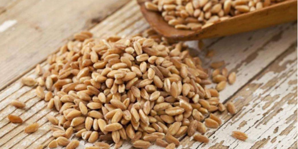 微信截圖_20230207095609