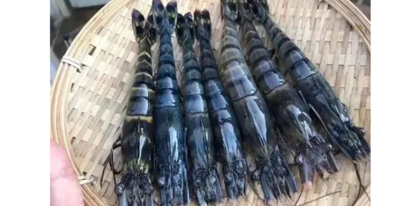 微信截圖_20230207093515