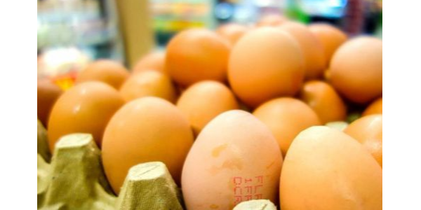 微信截圖_20230420090011