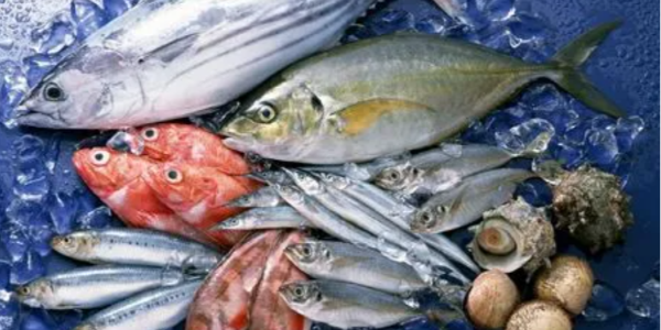 微信截圖_20230227084218