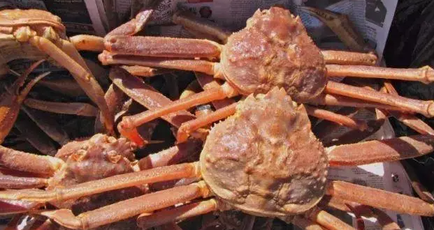 食品進口時必須知道的管理制度，進口食品不合格處置監(jiān)管制度，跟著心海供應(yīng)鏈上海食品進口清關(guān)一起來看下吧，需要上海食品進口清關(guān) 歡迎來電咨詢。