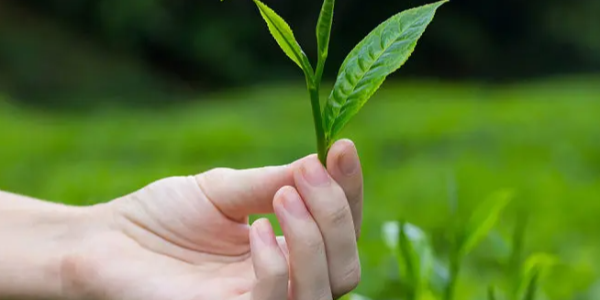 微信截圖_20230306084457