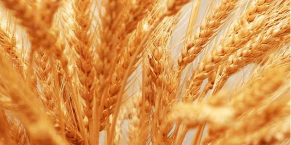 微信截圖_20230321091239