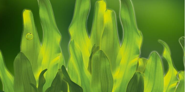 微信截圖_20230328084251