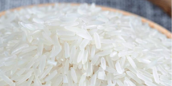 微信截圖_20230324092513