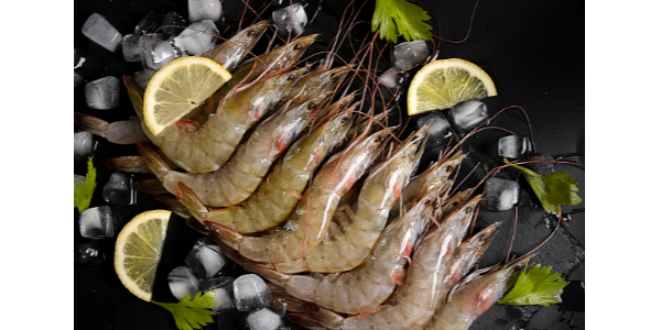 McIntosh：厄蝦產(chǎn)量增長(zhǎng)強(qiáng)勢(shì)，2027年或超250萬(wàn)噸