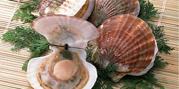 微信截圖_20230112095302