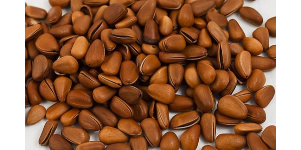 微信截圖_20230117094425