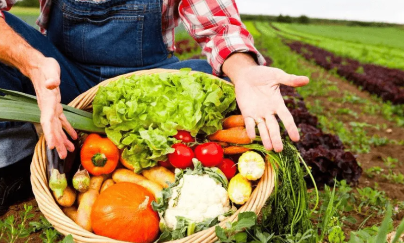 全球第三大生產(chǎn)國(guó)，巴西將力推水果走出國(guó)門