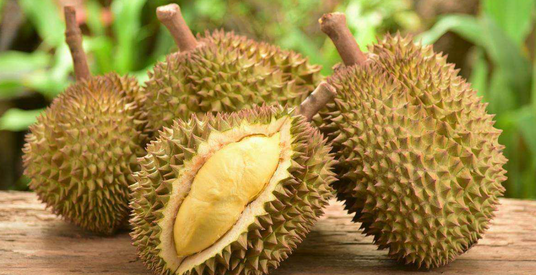 越南51個(gè)有編碼的榴蓮種植園獲批對(duì)中國(guó)出口產(chǎn)品